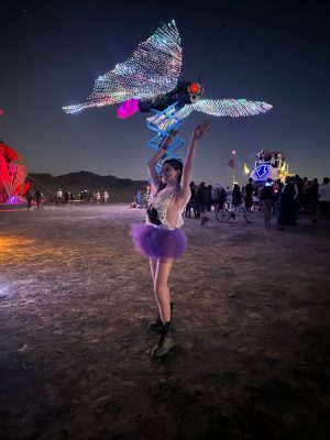 Fairy Girl in the Desert